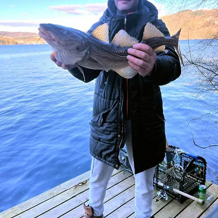 Leilighet Sunrise Terrace *