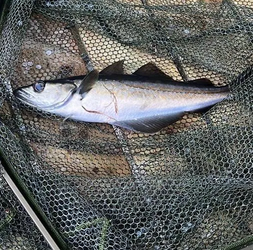 Sunrise Terrace Lägenhet