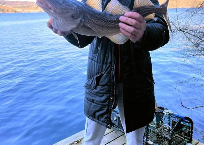 Lägenhet Sunrise Terrace *