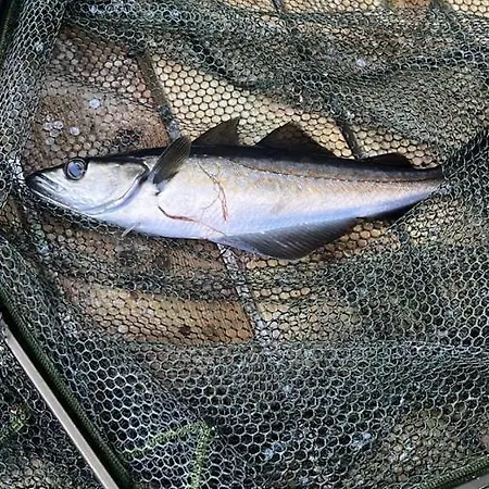 Sunrise Terrace Apartman